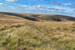 Brightworthy Barrows from Withypool Hill by Brian Ellis