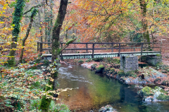 Ash Bridge along the East Lyn by Brian Ellis