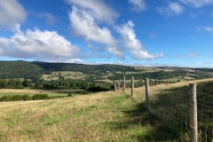 Horner Farm visit September 2022. Photo C Tickner