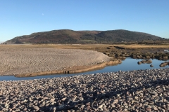 Porlock Marsh by Brian Ellis