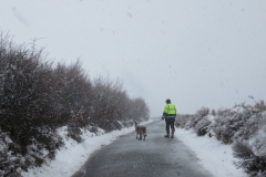 Snowy dog walk with David Slater: Martina Slater