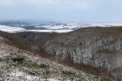 Hawkcombe tress in the snow: Martina Slater