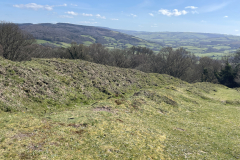 Bury Castle, Selworthy by Brian Ellis