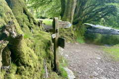 Bridleway on the banks of the Barle near Cow Castle. by Brian Ellis