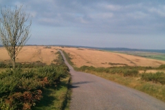 Molland Common:  Graham Sanders
