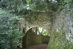 Sian Parry:  Ashley tunnel on the way to Culbone