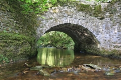 Poole Bridge, Horner: Ian Hart