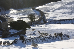 Pullham Farm in snow ,Twitchen: Photo  by Helen Smith