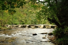 Tarr Steps: lan  Hart