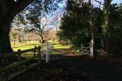 View behind Holnicote House, near Selworthy : Brian Culcheth