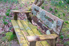 Luckbarrow's lichenised bench by S.Parry.