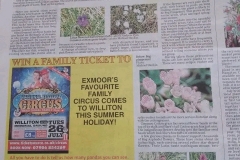 Carols Giddens\'s article from the WSFP mentions Ivy leaved bellflower